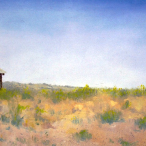 New Mexico Panorama
24x48